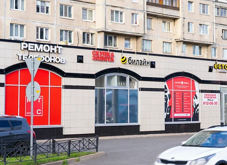 Аурум  просп. Просвещения, 36, корп. 1